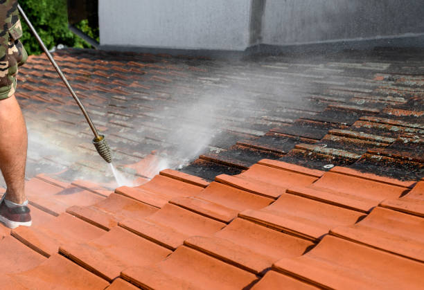 Best Local Pressure Washing Services  in Presquille, LA