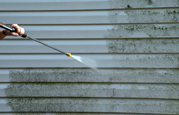 Best Roof Pressure Washing  in Presquille, LA